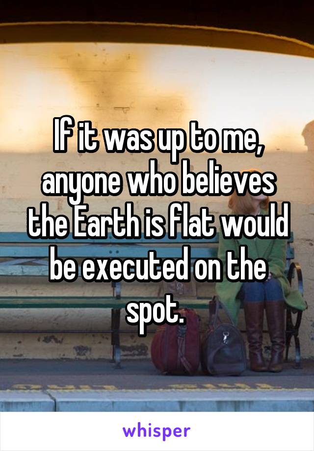 If it was up to me, anyone who believes the Earth is flat would be executed on the spot. 