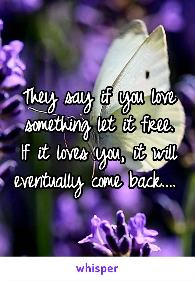 They say if you love something let it free.
If it loves you, it will eventually come back.... 
