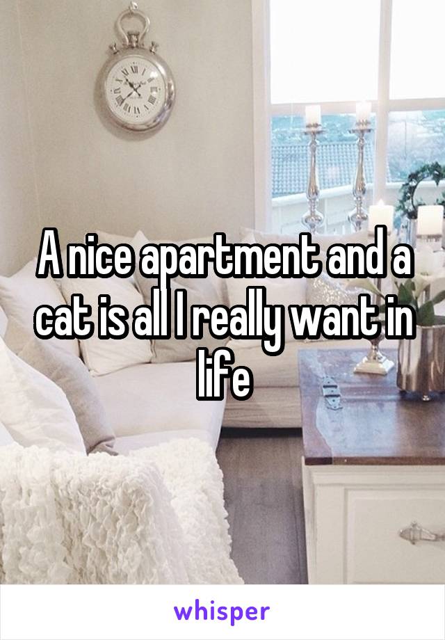 A nice apartment and a cat is all I really want in life