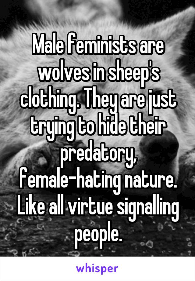 Male feminists are wolves in sheep's clothing. They are just trying to hide their predatory, female-hating nature. Like all virtue signalling people.
