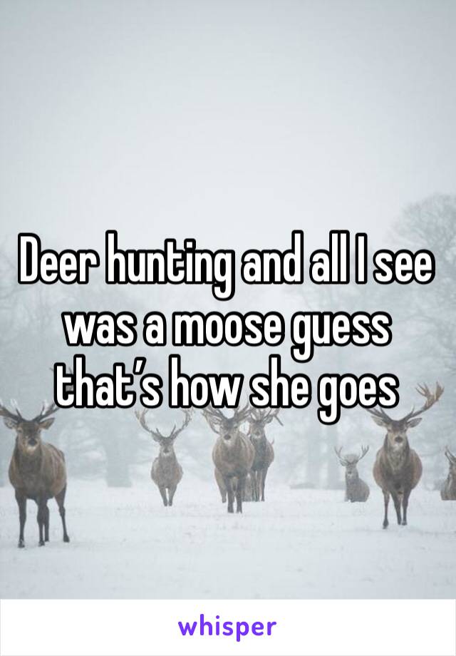Deer hunting and all I see was a moose guess that’s how she goes 