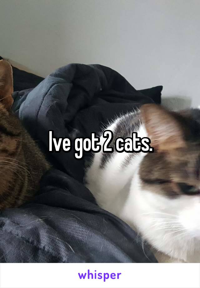 Ive got 2 cats.