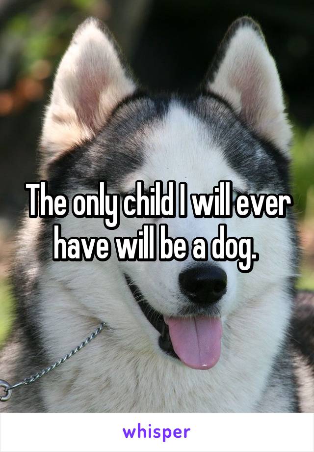 The only child I will ever have will be a dog. 