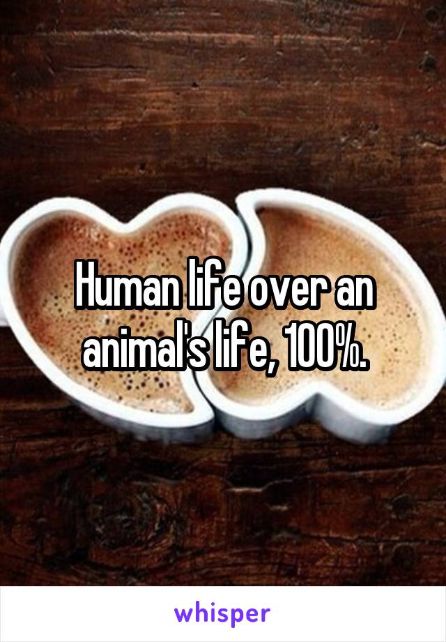 Human life over an animal's life, 100%.