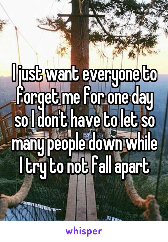 I just want everyone to forget me for one day so I don't have to let so many people down while I try to not fall apart