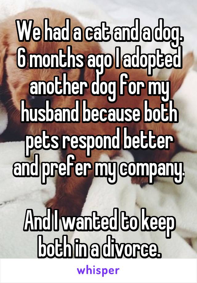 We had a cat and a dog.
6 months ago I adopted another dog for my husband because both pets respond better and prefer my company.

And I wanted to keep both in a divorce.