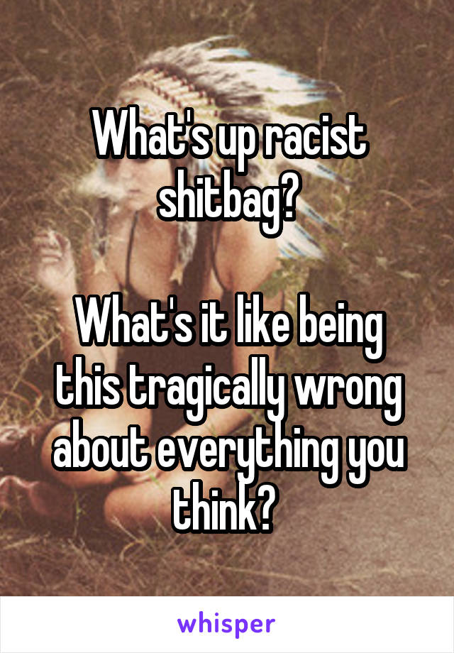 What's up racist shitbag?

What's it like being this tragically wrong about everything you think? 