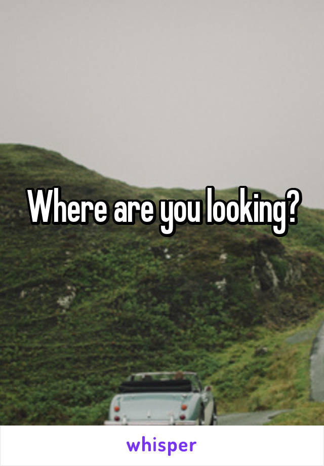 Where are you looking?

