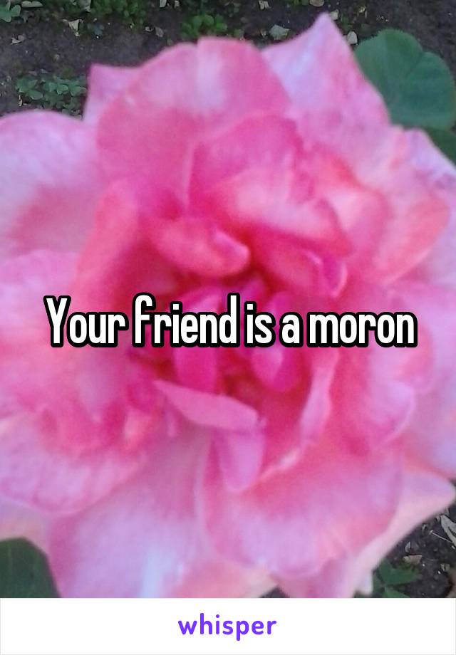 Your friend is a moron