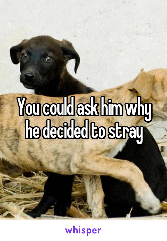 You could ask him why he decided to stray