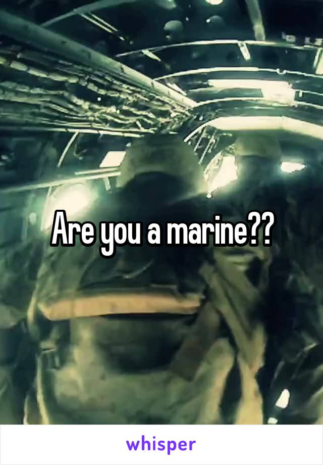 Are you a marine??