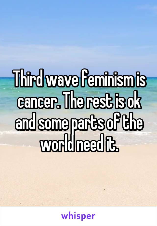 Third wave feminism is cancer. The rest is ok and some parts of the world need it.