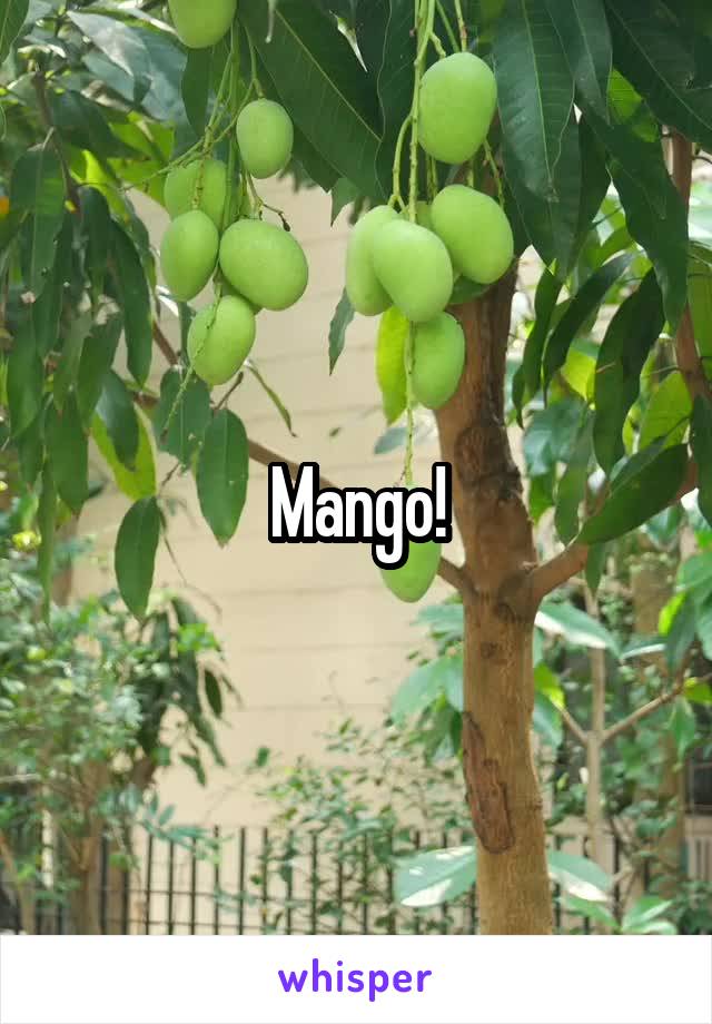 Mango!