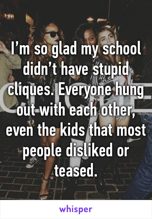 I’m so glad my school didn’t have stupid cliques. Everyone hung out with each other, even the kids that most people disliked or teased. 