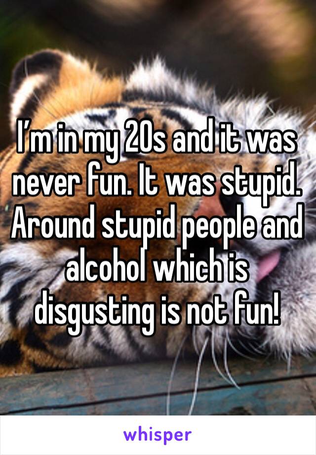 I’m in my 20s and it was never fun. It was stupid. Around stupid people and alcohol which is disgusting is not fun!