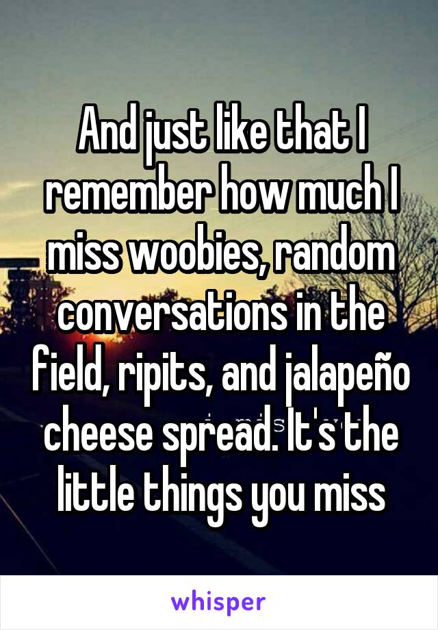 And just like that I remember how much I miss woobies, random conversations in the field, ripits, and jalapeño cheese spread. It's the little things you miss