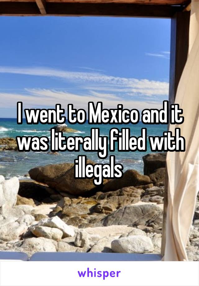 I went to Mexico and it was literally filled with illegals 