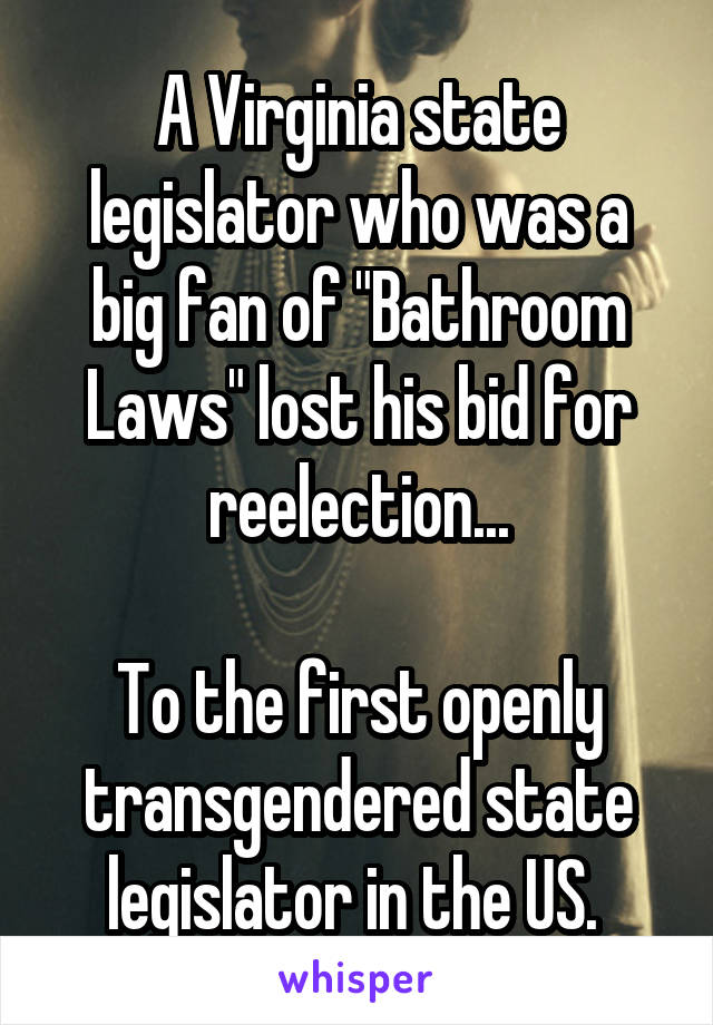 A Virginia state legislator who was a big fan of "Bathroom Laws" lost his bid for reelection...

To the first openly transgendered state legislator in the US. 