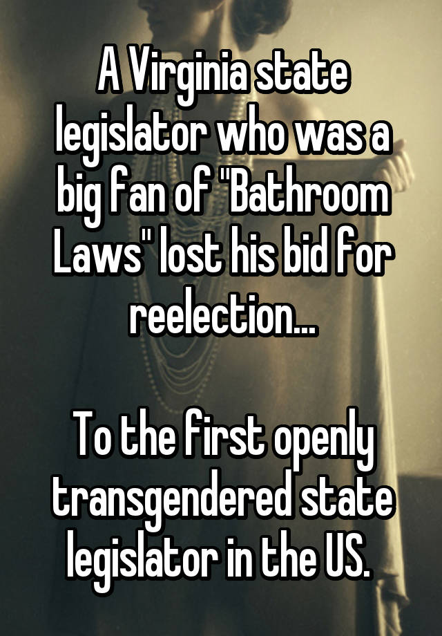 A Virginia state legislator who was a big fan of "Bathroom Laws" lost his bid for reelection...

To the first openly transgendered state legislator in the US. 