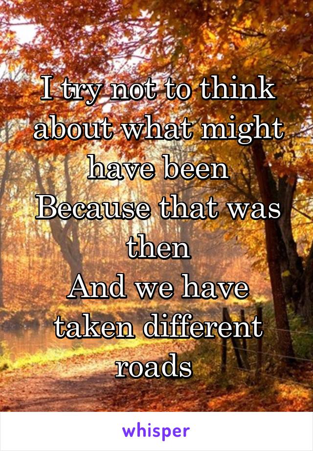 I try not to think about what might have been
Because that was then
And we have taken different roads 