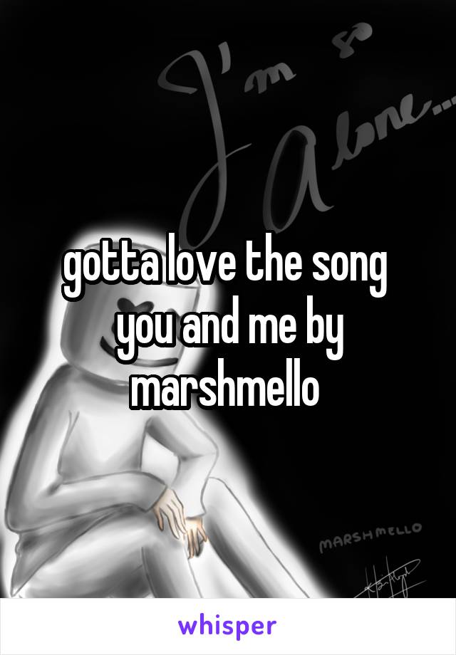 gotta love the song  you and me by marshmello 