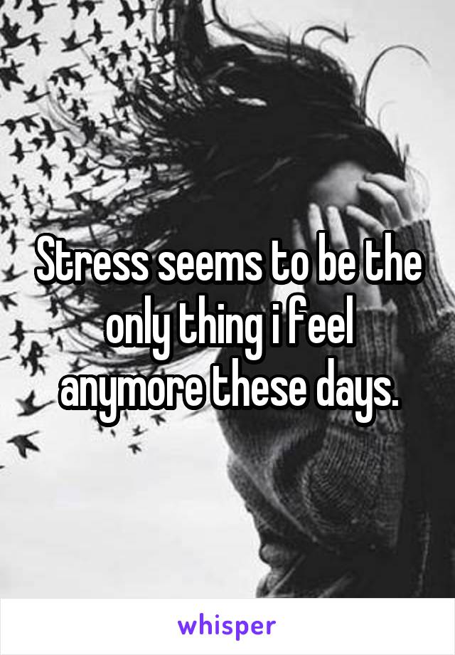 Stress seems to be the only thing i feel anymore these days.