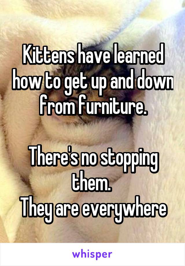 Kittens have learned how to get up and down from furniture.

There's no stopping them. 
They are everywhere