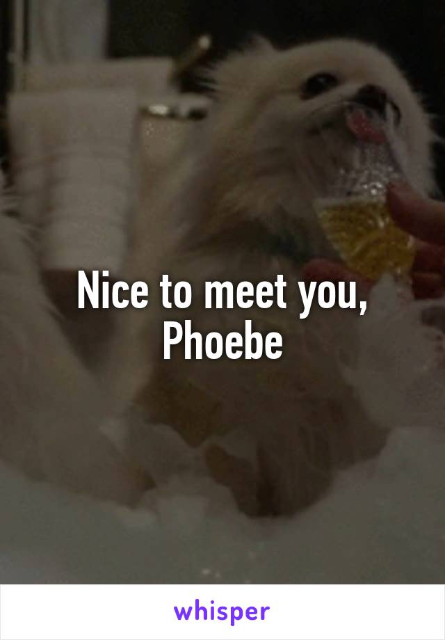 Nice to meet you, Phoebe