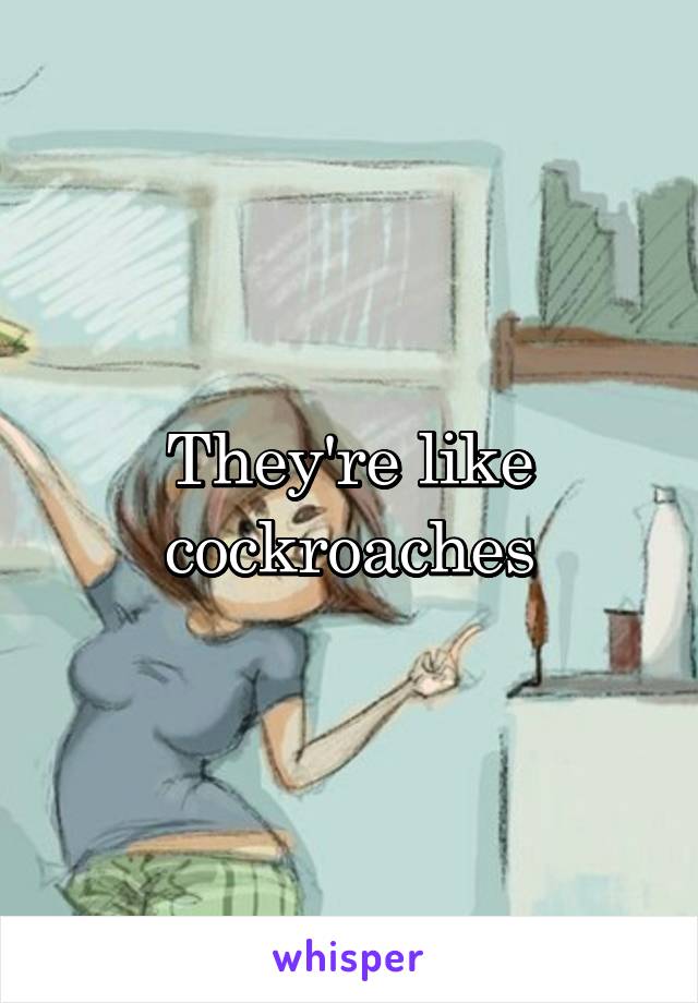 They're like cockroaches