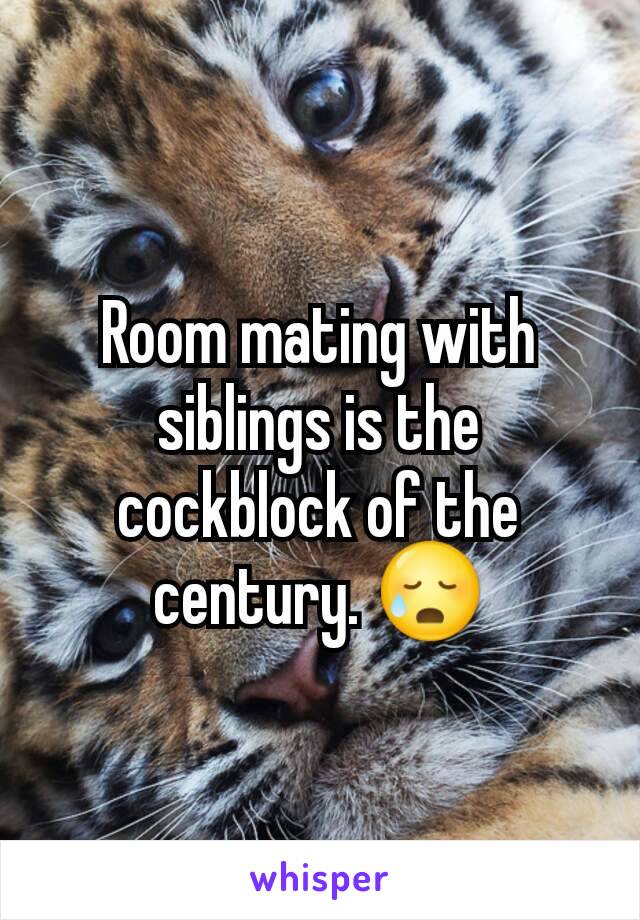 Room mating with siblings is the cockblock of the century. 😥
