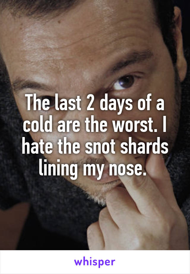 The last 2 days of a cold are the worst. I hate the snot shards lining my nose. 
