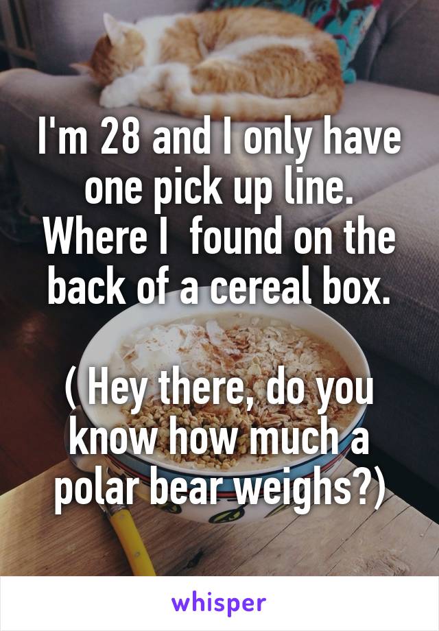 I'm 28 and I only have one pick up line. Where I  found on the back of a cereal box.

( Hey there, do you know how much a polar bear weighs?)