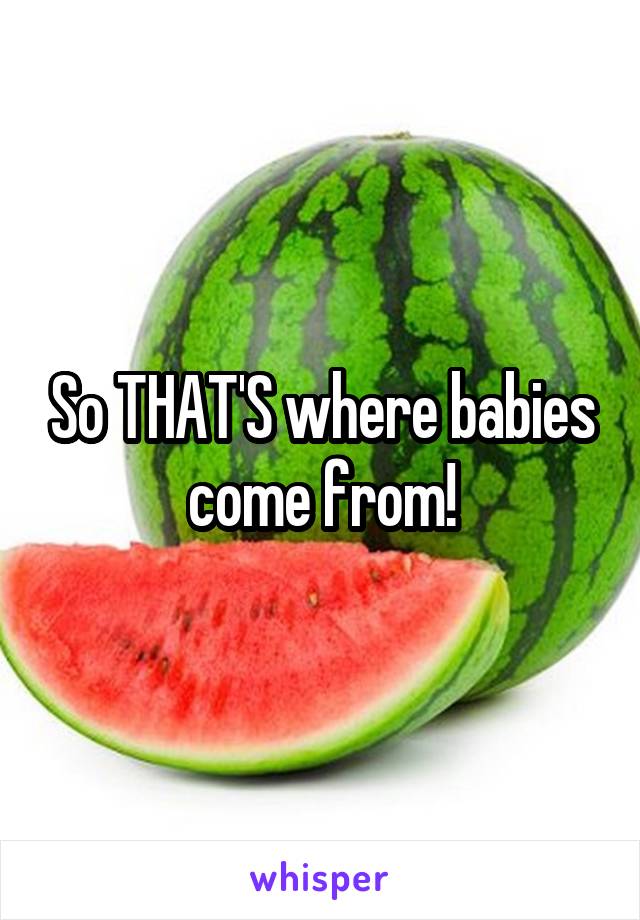 So THAT'S where babies come from!
