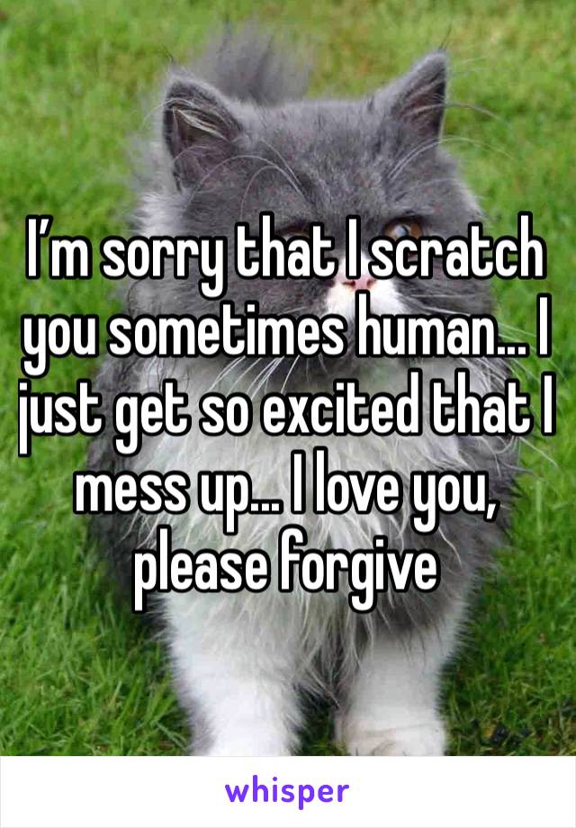 I’m sorry that I scratch you sometimes human... I just get so excited that I mess up... I love you, please forgive 
