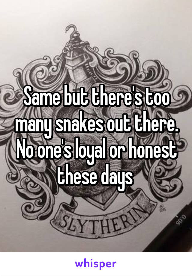 Same but there's too many snakes out there. No one's loyal or honest these days 