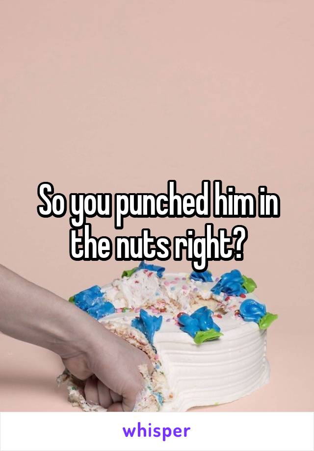 So you punched him in the nuts right?