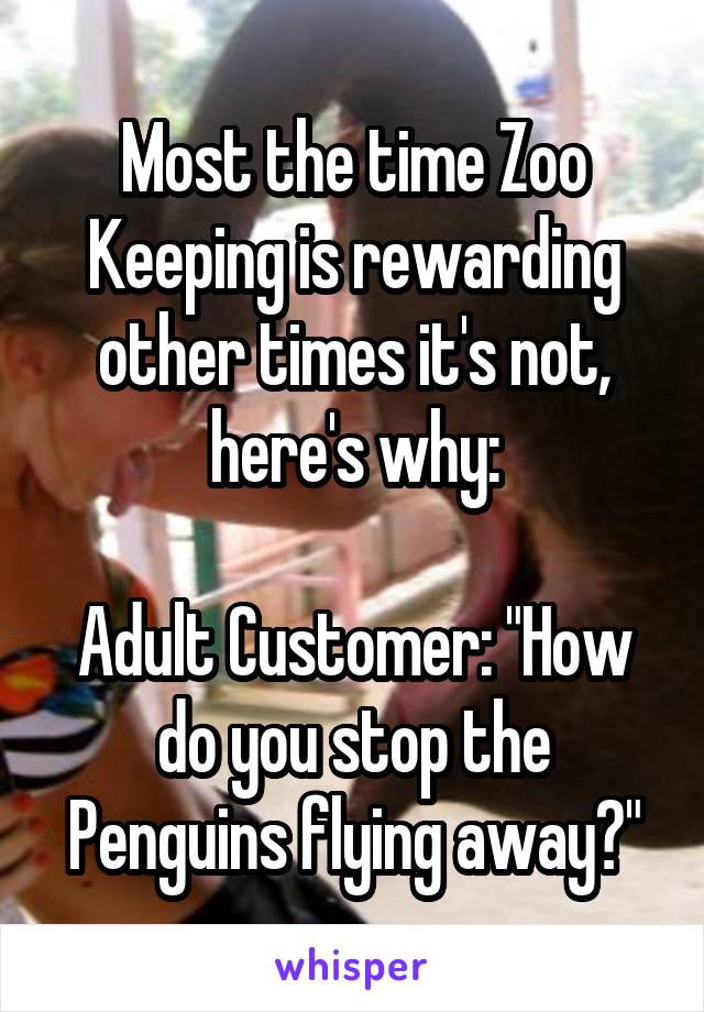 Most the time Zoo Keeping is rewarding other times it's not, here's why:

Adult Customer: "How do you stop the Penguins flying away?"