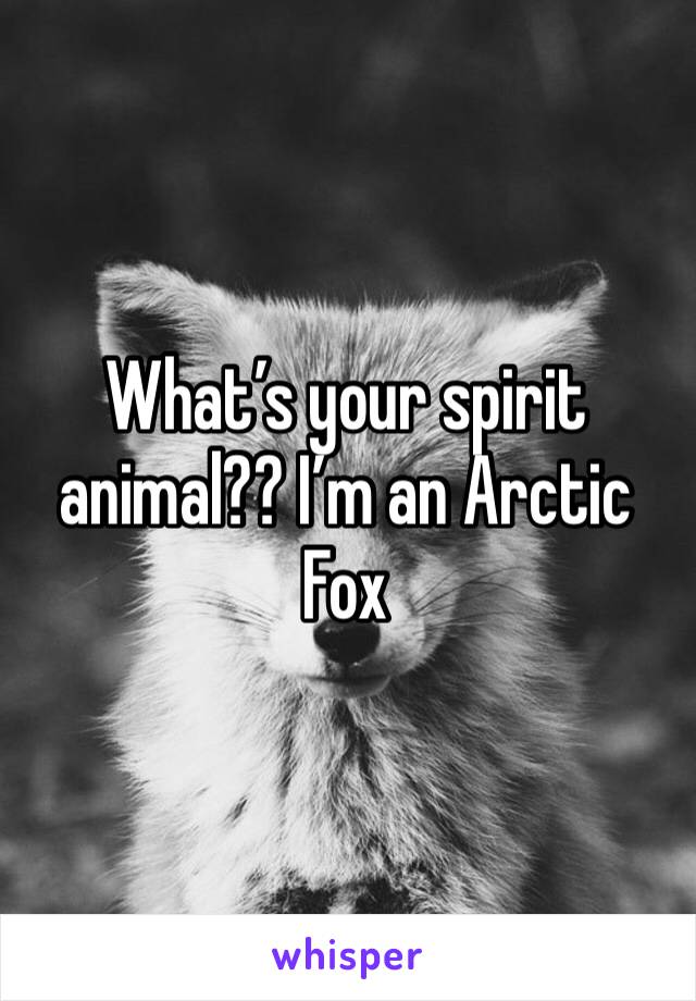 What’s your spirit animal?? I’m an Arctic Fox 