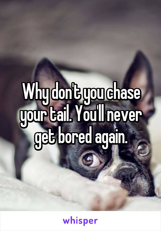 Why don't you chase your tail. You'll never get bored again.