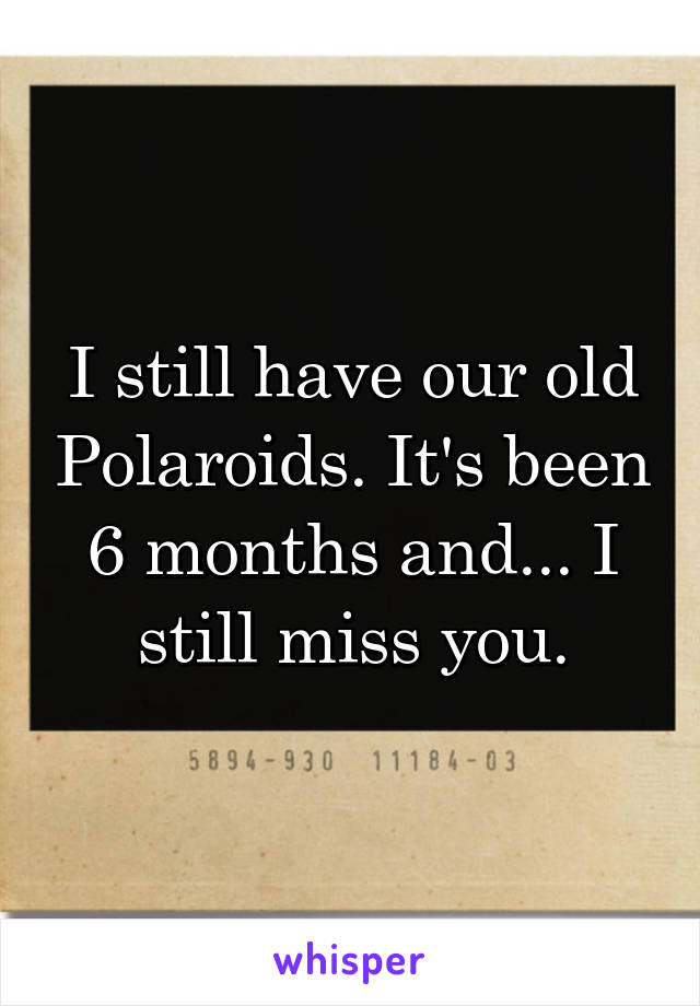I still have our old Polaroids. It's been 6 months and... I still miss you.