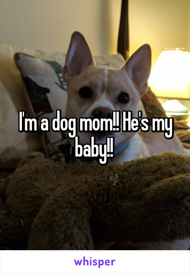 I'm a dog mom!! He's my baby!! 