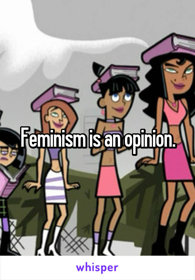 Feminism is an opinion.