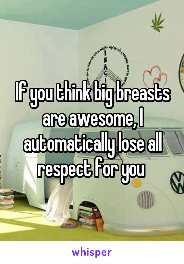 If you think big breasts are awesome, I automatically lose all respect for you 
