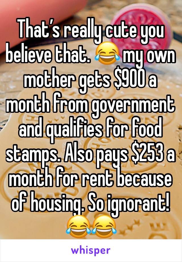 That’s really cute you believe that. 😂 my own mother gets $900 a month from government and qualifies for food stamps. Also pays $253 a month for rent because of housing. So ignorant! 😂😂