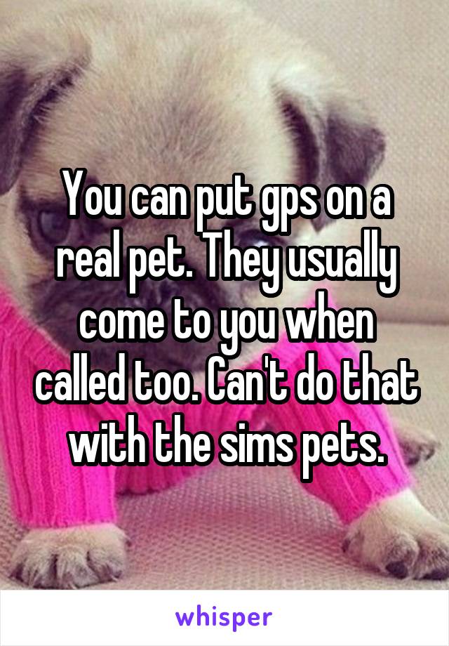 You can put gps on a real pet. They usually come to you when called too. Can't do that with the sims pets.