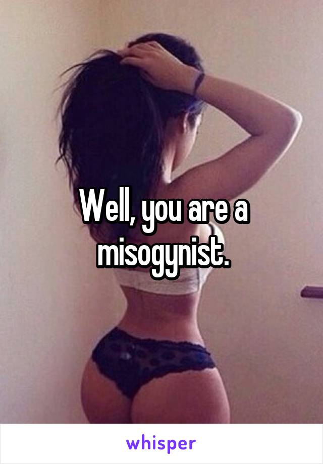 Well, you are a misogynist.