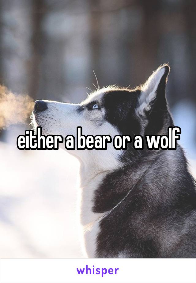 either a bear or a wolf
