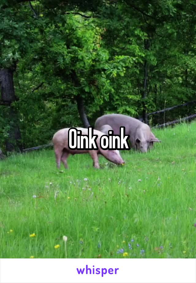 Oink oink