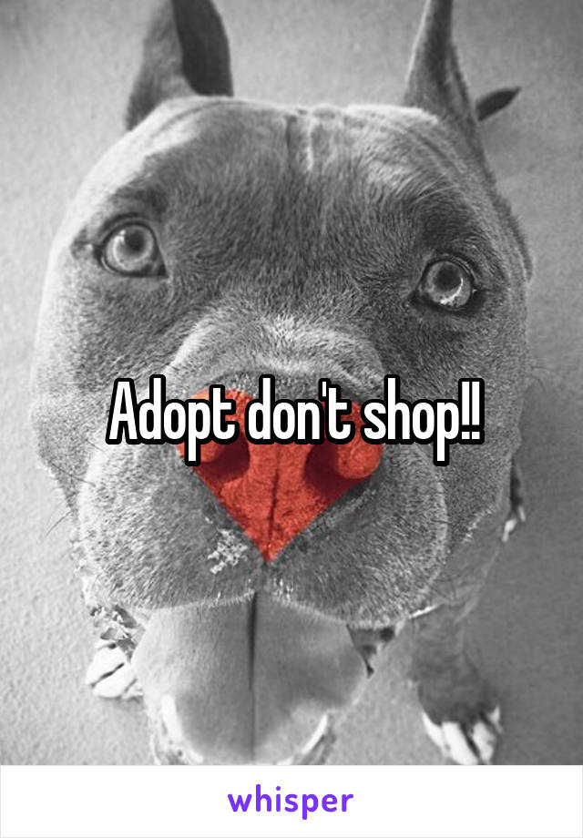 Adopt don't shop!!