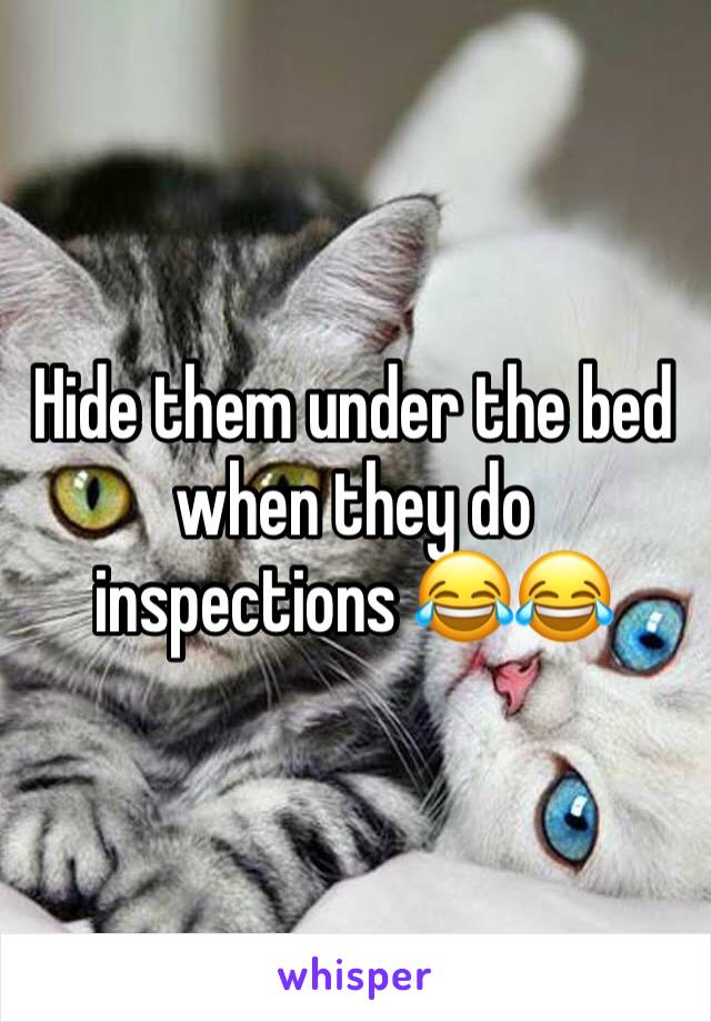 Hide them under the bed when they do inspections 😂😂